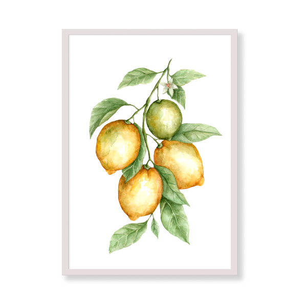 Art Print - Amalfi Coast Lemons